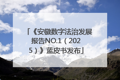 《安徽数字法治发展报告NO.1（2025）》蓝皮书发布