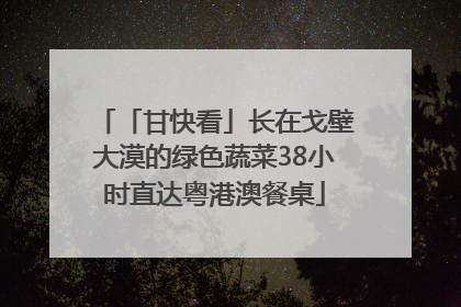 「甘快看」长在戈壁大漠的绿色蔬菜38小时直达粤港澳餐桌