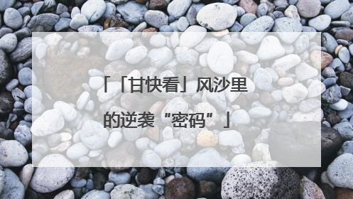 「甘快看」风沙里的逆袭“密码”