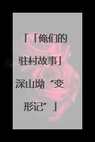 「俺们的驻村故事」深山坳“变形记”