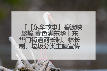 「东华故事」碧波映翠嶂 春色满东华丨东华门街道河长制、林长制、垃圾分类主题宣传如火如荼中