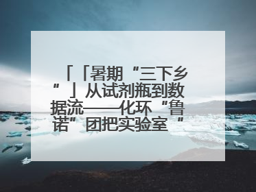「暑期“三下乡”」从试剂瓶到数据流——化环“鲁诺”团把实验室“搬”回家乡，点亮桑梓求知路
