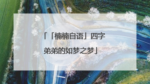 「楠楠自语」四字弟弟的如梦之梦