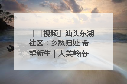 「视频」汕头东湖社区：乡愁归处 希望新生｜大美岭南·百村焕新记