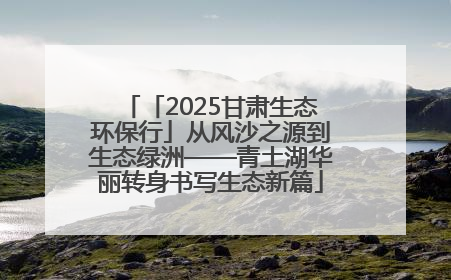 「2025甘肃生态环保行」从风沙之源到生态绿洲——青土湖华丽转身书写生态新篇