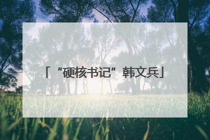 “硬核书记”韩文兵