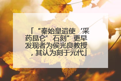 “秦始皇遣使‘采药昆仑’石刻”更早发现者为侯光良教授，其认为刻于元代