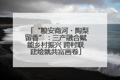 “粮安商河・陶梨留香”：三产融合赋能乡村振兴 跨村联建绘就共富画卷