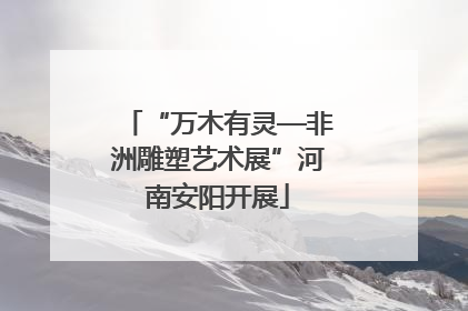“万木有灵—非洲雕塑艺术展”河南安阳开展