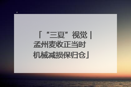 “三夏”视觉｜孟州麦收正当时 机械减损保归仓