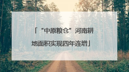 “中原粮仓”河南耕地面积实现四年连增