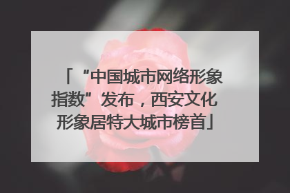 “中国城市网络形象指数”发布，西安文化形象居特大城市榜首