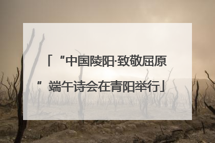 “中国陵阳·致敬屈原”端午诗会在青阳举行