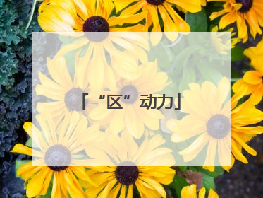 “区”动力