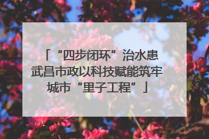 “四步闭环”治水患 武昌市政以科技赋能筑牢城市“里子工程”