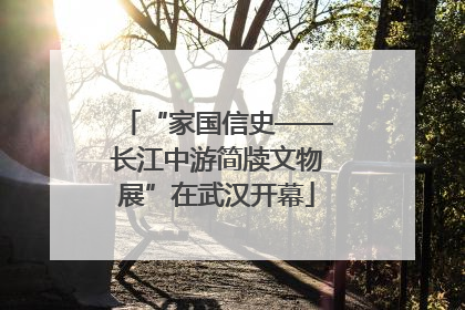 “家国信史——长江中游简牍文物展”在武汉开幕