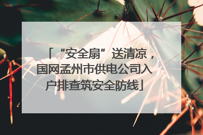 “安全扇”送清凉，国网孟州市供电公司入户排查筑安全防线