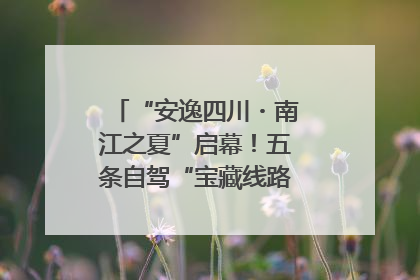 “安逸四川・南江之夏”启幕！五条自驾“宝藏线路”串联避暑胜地