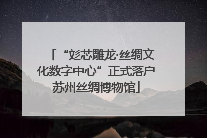 “彣芯雕龙·丝绸文化数字中心”正式落户苏州丝绸博物馆