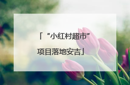 “小红村超市”项目落地安吉