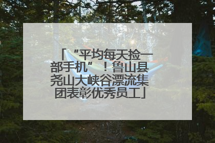 “平均每天捡一部手机”！鲁山县尧山大峡谷漂流集团表彰优秀员工
