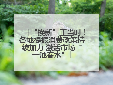 “换新”正当时！各地提振消费政策持续加力 激活市场“一池春水”
