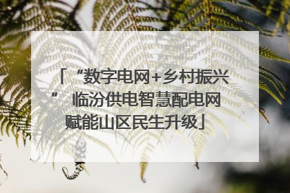 “数字电网+乡村振兴” 临汾供电智慧配电网赋能山区民生升级