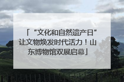 “文化和自然遗产日”让文物焕发时代活力！山东博物馆双展启幕