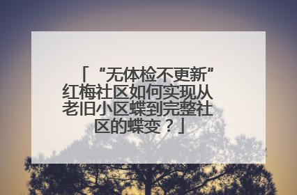 “无体检不更新”红梅社区如何实现从老旧小区蝶到完整社区的蝶变？