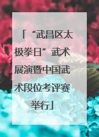 “武昌区太极拳日”武术展演暨中国武术段位考评赛举行