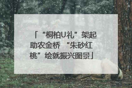 “桐柏U礼”架起助农金桥 “朱砂红桃”绘就振兴图景