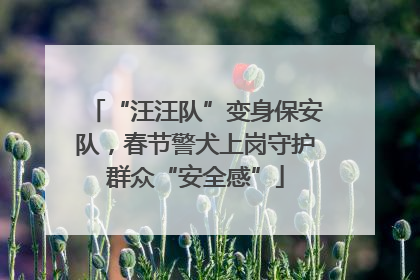 “汪汪队”变身保安队，春节警犬上岗守护群众“安全感”