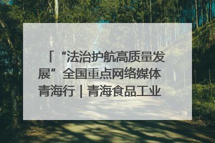 “法治护航高质量发展”全国重点网络媒体青海行｜青海食品工业协会：架起“青字号”美食的产业化桥梁