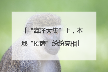 “海洋大集”上，本地“招牌”纷纷亮相