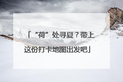 “荷”处寻夏？带上这份打卡地图出发吧