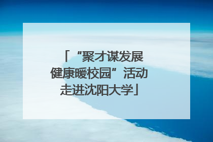 “聚才谋发展 健康暖校园”活动走进沈阳大学