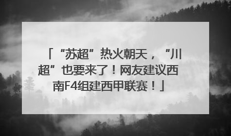 “苏超”热火朝天，“川超”也要来了！网友建议西南F4组建西甲联赛！