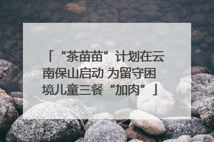 “茶苗苗”计划在云南保山启动 为留守困境儿童三餐“加肉”