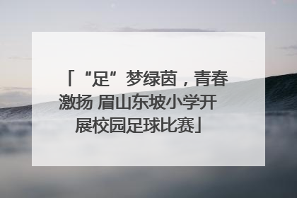 “足”梦绿茵，青春激扬 眉山东坡小学开展校园足球比赛