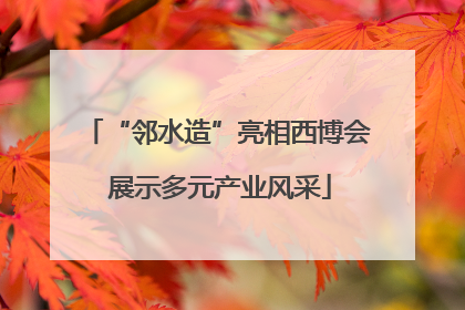“邻水造”亮相西博会 展示多元产业风采