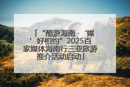 “酷游海南 ·‘媒’好相约”2025百家媒体海南行三亚旅游推介活动启动