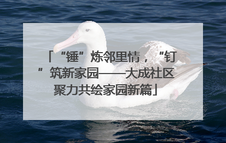 “锤”炼邻里情，“钉”筑新家园——大成社区聚力共绘家园新篇