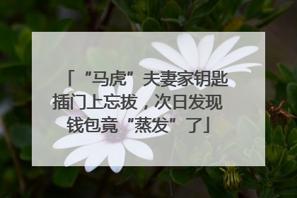 “马虎”夫妻家钥匙插门上忘拔，次日发现钱包竟“蒸发”了