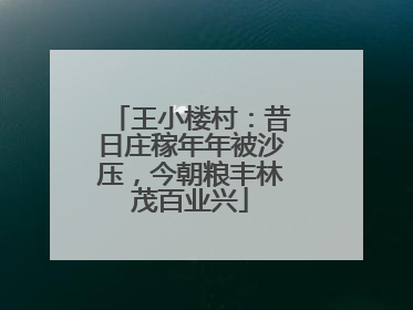 王小楼村：昔日庄稼年年被沙压，今朝粮丰林茂百业兴