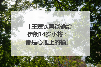 王楚钦再谈输给伊朗14岁小将：都是心理上的输