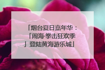 烟台夏日嘉年华：「闹海·拳击狂欢季」登陆黄海游乐城