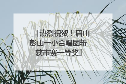 热烈祝贺！眉山彭山一小合唱团斩获市赛一等奖