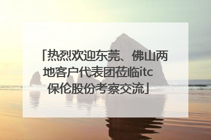 热烈欢迎东莞、佛山两地客户代表团莅临itc保伦股份考察交流
