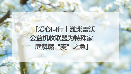 爱心同行丨潍柴雷沃公益机收联盟为特殊家庭解燃“麦”之急