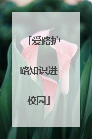 爱路护路知识进校园